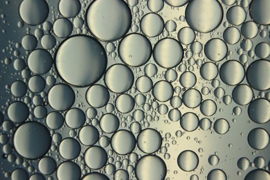 abstract macro background of oil circles floating over water surface . Macro closeup view of bubbles on water . oil bubbles in the water macro photographic background
