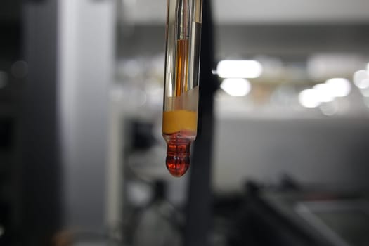 Close-up view of pH meter, a device for measuring pH with equipment for analysis of solutions quality in a chemical laboratory