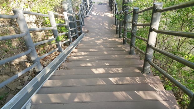 Wooden stairs with handrails on both sides in a park.