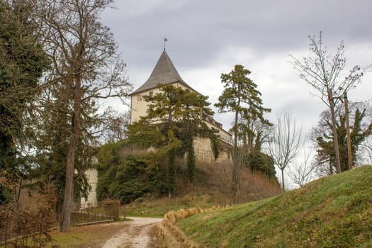 Castle Pitten in Lower Austria, Europe