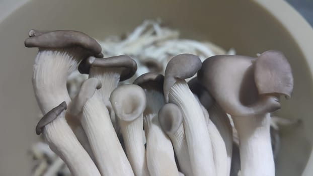 Closeup view of big pile of fresh harvested mushrooms. Food background of mushrooms in market for sale. A Vegetables background