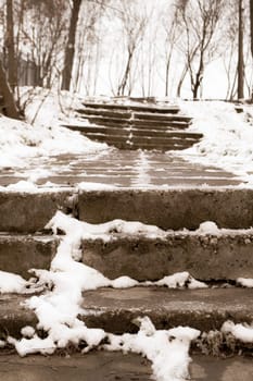 Yuletide, barren tree on top of a stairway, climbs the stairs. Vertical image