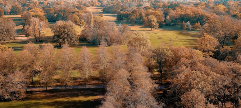 Aerial view of Rotehorn city park in Magdeburg in autumn