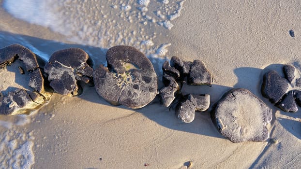 View from above on breakwater at Warnemuende beach on German Baltic Sea coast