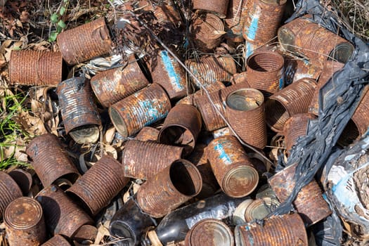 Old rusty cans lie on the ground and dry grass in nature. Pollution and environment.