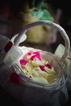 a elements, and fashion accessories and weddings fashion decoration