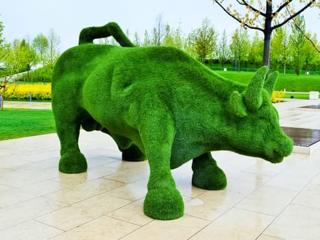 A bull of green grass in krasnodar park. Scenery.
