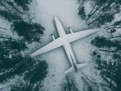 Abandoned plane in the woods among the trees in winter.