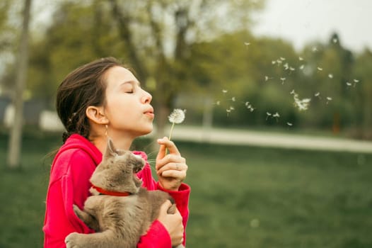 The girl holds the cat in her hands and blows on the dandelion.