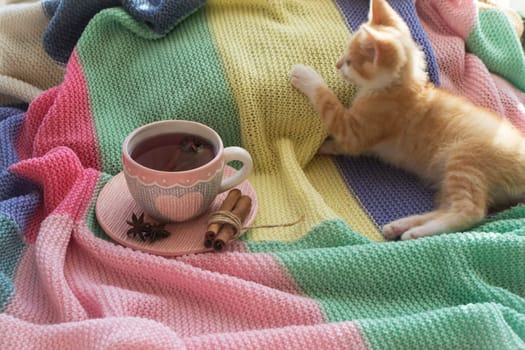 Cute red kitten sleeping at home. Colorful knitted plaid and cup of lemon tea with home decor on the warm soft bed.