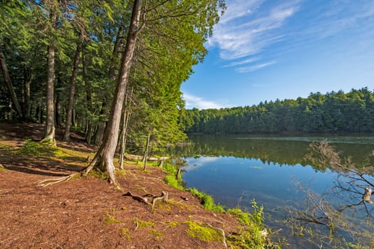 Morning Light on Crooked Lake in the Sylvania Wilderness in MIchigan