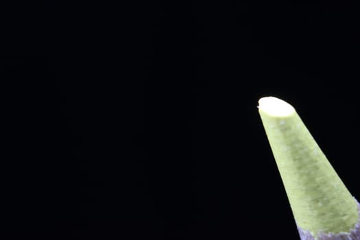 close up of sharpened pencil.Macro view of the tip of the pencil on a black background.