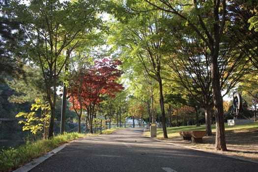 Paved pedestrian way or walk way with trees on sides for public walk. Suburban park with sidewalk along with trees on sideways