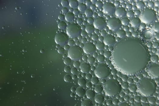 abstract macro background of oil circles floating over water surface . Macro closeup view of bubbles on water . oil bubbles in the water macro photographic background