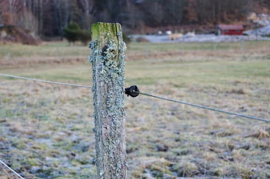 electric fence to defend the animal and protect them to escape