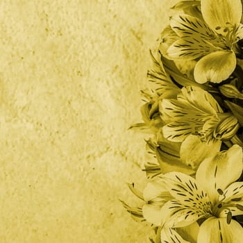Layout for a greeting card. A bouquet of beautiful yellow orchids on a light background. Mocap, blank, free space.