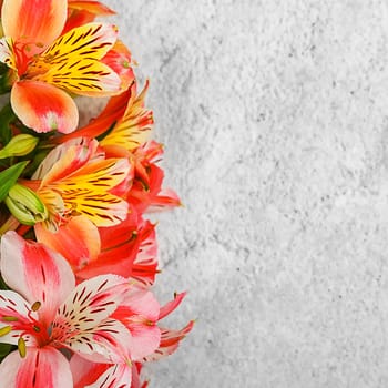 Layout for a greeting card. A bouquet of beautiful multicolored orchids on a light background. Mocap, blank, free space.