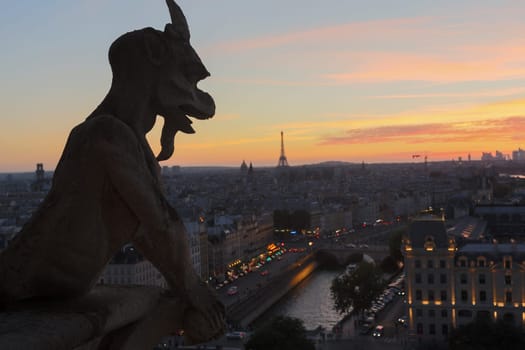 The Chimeras of Notre Dame watching the sunset in Paris