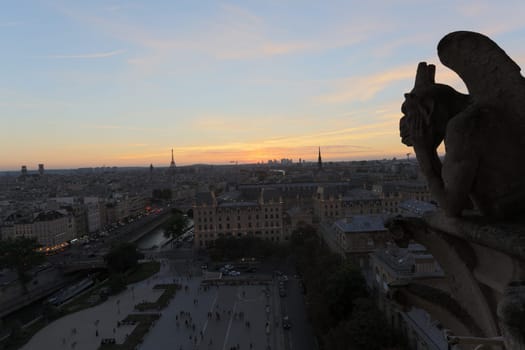 The Chimeras of Notre Dame watching the sunset in Paris