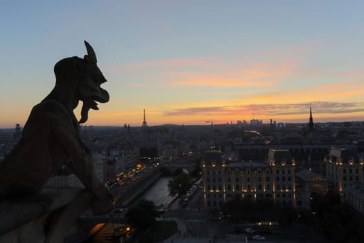 The Chimeras of Notre Dame watching the sunset in Paris