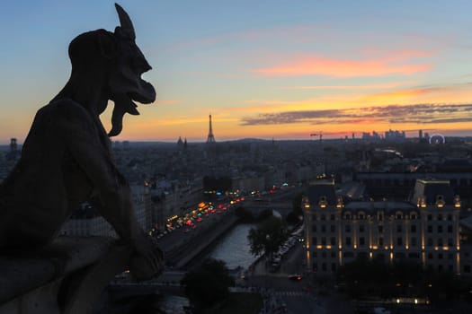 The Chimeras of Notre Dame watching the sunset in Paris