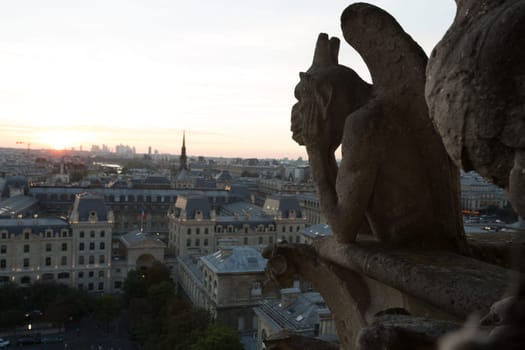 The Chimeras of Notre Dame watching the sunset in Paris