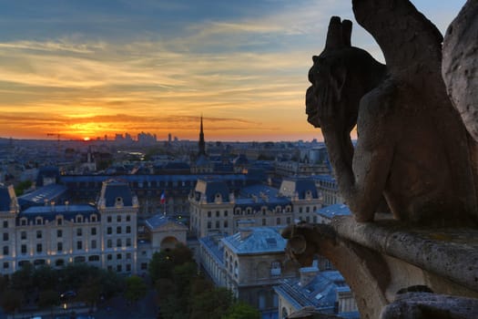 The Chimeras of Notre Dame watching the sunset in Paris