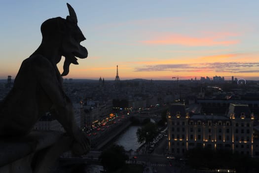 The Chimeras of Notre Dame watching the sunset in Paris