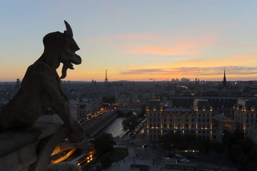 The Chimeras of Notre Dame watching the sunset in Paris