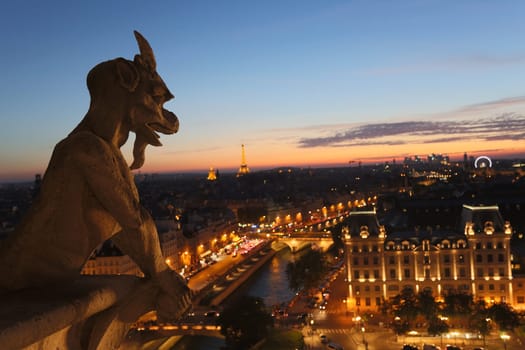 The Chimeras of Notre Dame watching the sunset in Paris