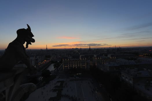 The Chimeras of Notre Dame watching the sunset in Paris
