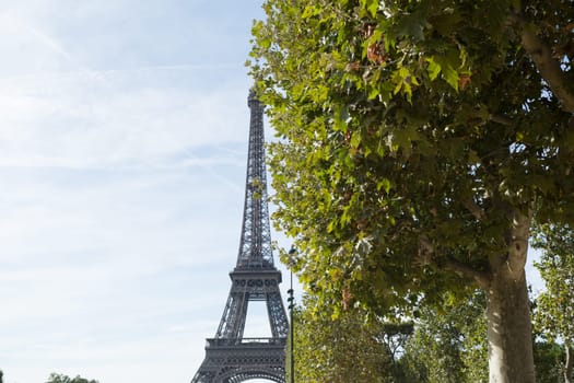 The main attraction of Paris - The Eiffel Tower