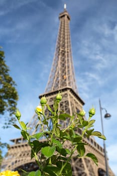 The main attraction of Paris - The Eiffel Tower