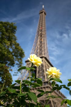 The main attraction of Paris - The Eiffel Tower