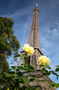 The main attraction of Paris - The Eiffel Tower
