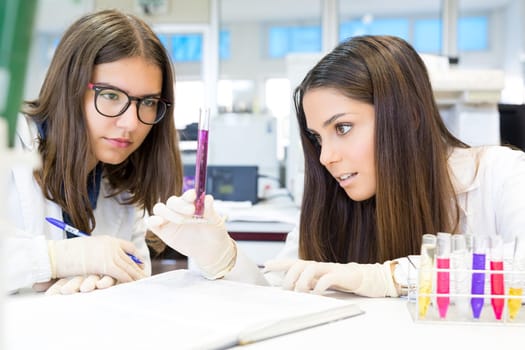Beautiful young scientists working at the laboratory
