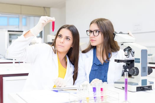 Beautiful young scientists working at the laboratory