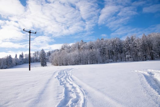 snow covered winter landscape