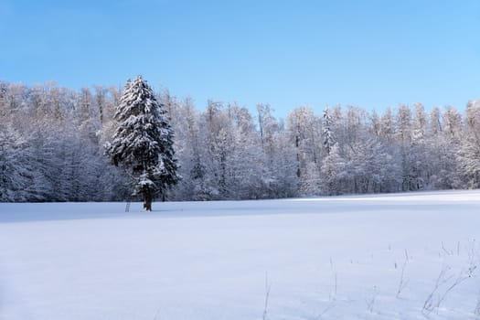 snow covered winter landscape