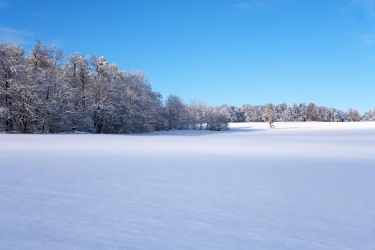snow covered winter landscape