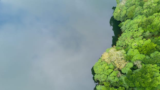 The astonishing greens of the archipelago of Azores - Portugal