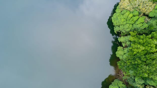 The astonishing greens of the archipelago of Azores - Portugal