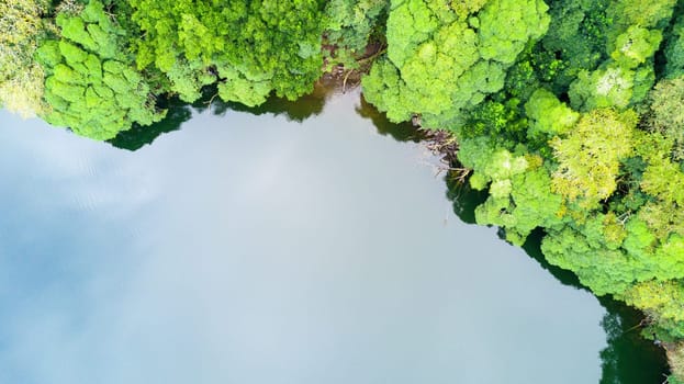 The astonishing greens of the archipelago of Azores - Portugal