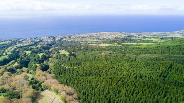 The astonishing greens of the archipelago of Azores - Portugal