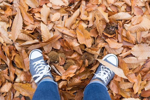 Fall, autumn, leaves, legs and shoes. Conceptual image of legs in shoes on the autumn leaves. Feet shoes walking in nature
