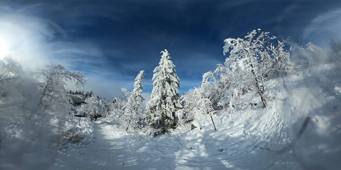 Winter landscape on the high blue with blue sky,.. Winter impressions in times of Corona. People were driven out into nature again on the second weekend of January 2021.  As here at the 1,165 meter high Hochblauen near Badenweiler (district Breisgau-Hochschwarzwald),many day trippers and families took advantage of the beautiful winter weather for a trip into the snow. Children and adults had fun in the snow even in times of Corona.