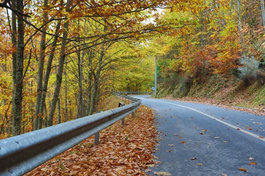 Autumun at Manteigas - Serra da Estrela - Portugal
