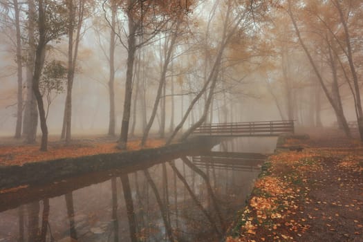 Autumun at Manteigas - Serra da Estrela - Portugal