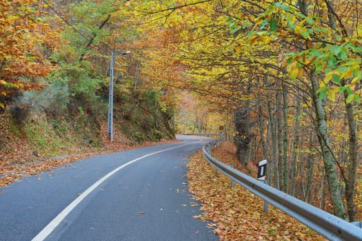 Autumun at Manteigas - Serra da Estrela - Portugal