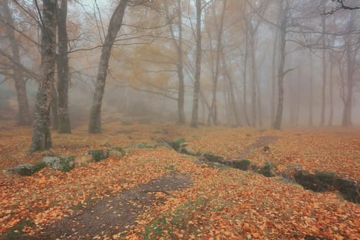 Autumun at Manteigas - Serra da Estrela - Portugal